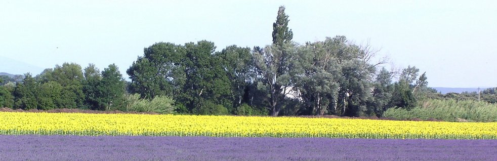 Magnifique paysage en Provence