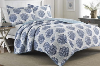 Tap/Click image to see details The New New Horison Corail blue collection
